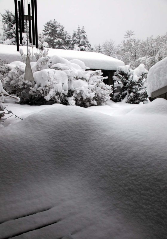 Our Front Porch & Little House <br> (Snowstorm-121808-2.jpg)