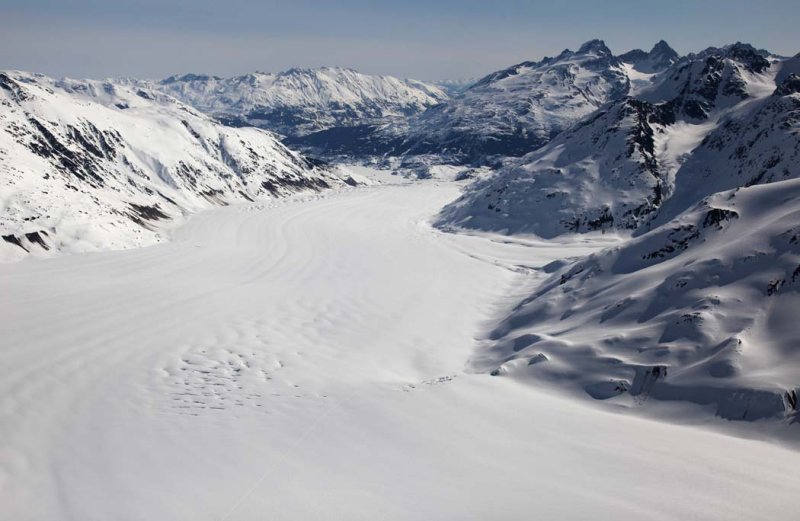 Frank Mackie Glacier & Mt Jancowski, View NE  <br> (CassiarCambria043009-_062.jpg)