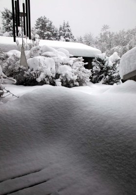 Our Front Porch & Little House <br> (Snowstorm-121808-2.jpg)