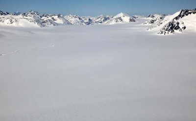 Stikine Icefield:  View NE To Chutine Glacier & Sheppard Pk (Far R)  (StikinePM042909--_154.jpg)