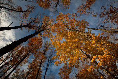 Fall Color On The Keweenaw Peninsula(Keweenaw_101212_038-3.jpg)