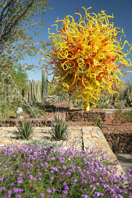Desert Botanical Garden, Phoenix, Arizona