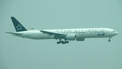 All Nippon 777-300 in Star Alliance livery