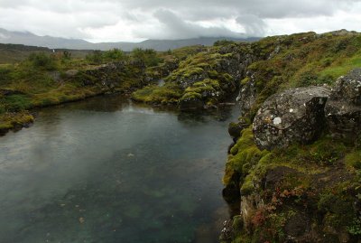 Moss covered volcanic rock, Pingvellir National Park