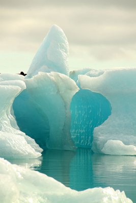 Iceberg formation