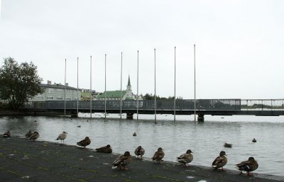 In front of the Reykjavik City Hall