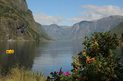 Colorful fjord