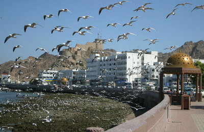 Murtrah Corniche