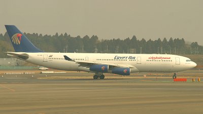 Egyptian visitor to NRT, March 2008