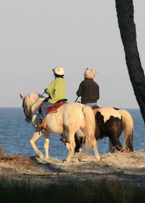 Hunting Island beach is interesting - horseback riding is allowed!