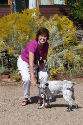 More New Mexico Pictures