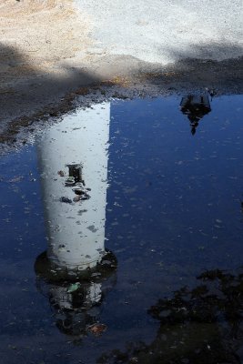 Tower reflected in a puddle.