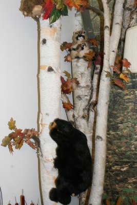 Bears and raccoons, oh my! In addition to wallpaper, there were parts of birch trees and lots of special touches in the rooms!