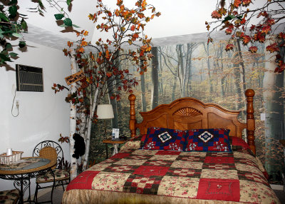 For 2 nights we stayed at the Bear Cove Inn, with great decor and even greater hosts (thanks, Elaine and Bob!)