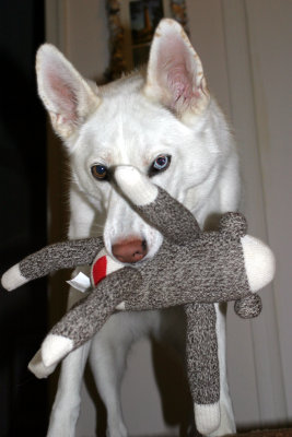 Allie with her sock monkey.  (2005) When Joey came, sock monkey met its demise.