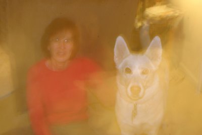 RIP Allison - I will miss our daily walks together. I know how very, very much you loved them!