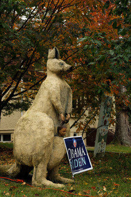 I walked down Carroll Ave, passing colorful houses.  This guy was outside one house. Kangaroos for Obama, I guess!