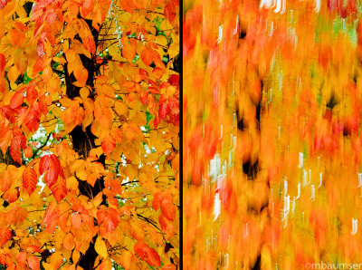 How it looks/How it feels