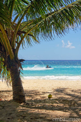 Beach Scene