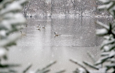 A Cold And Wet December Day