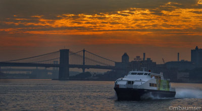 NY Waterways Ferry