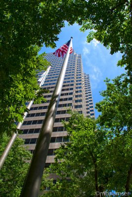 Flag Pole Surrounded By Trees
