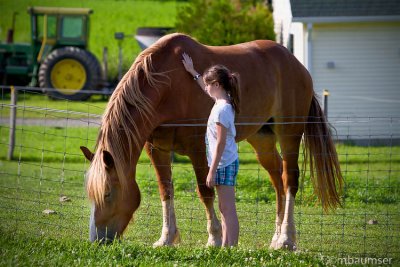 Lea and Horse II