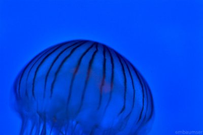 g1/20/485820/3/94035128.linrVH3n.jpg
