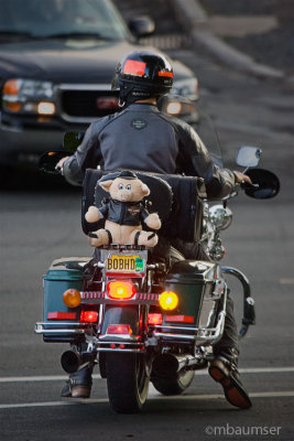 Hog on a Hog