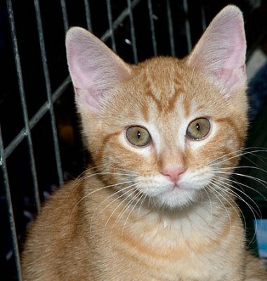 Kenny-040109.2009.D01145