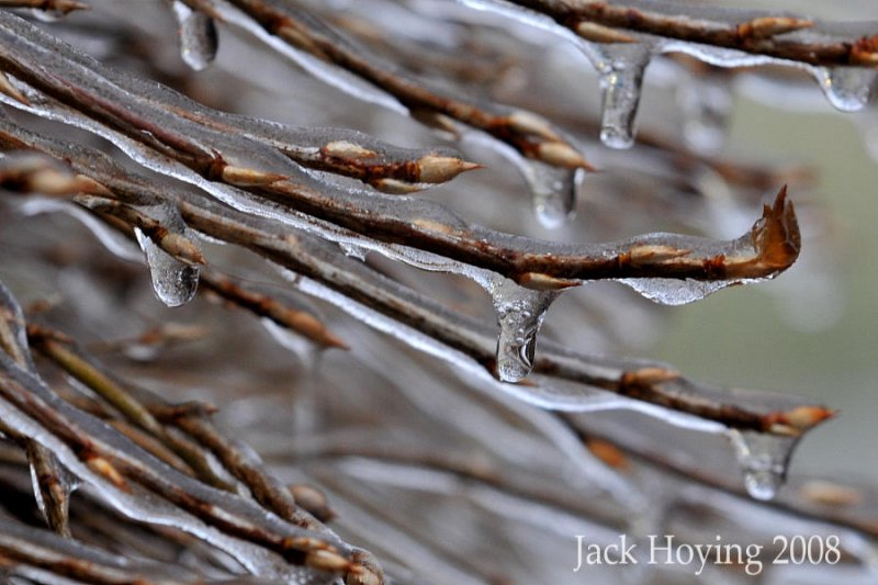 Freezing Rain