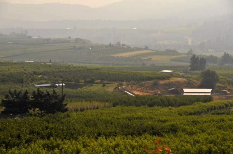 Smokey haze of the vineyards and orchards of Oliver, BC