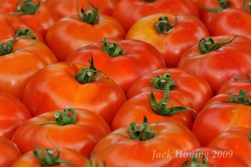 Ripe Tomatoes