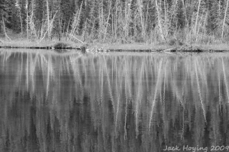 Reflection Black & White