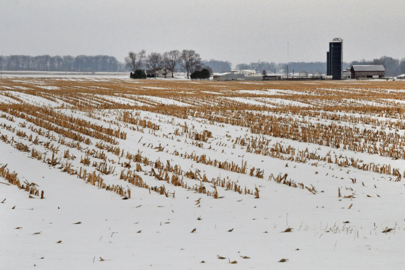 Winter Farm Scene