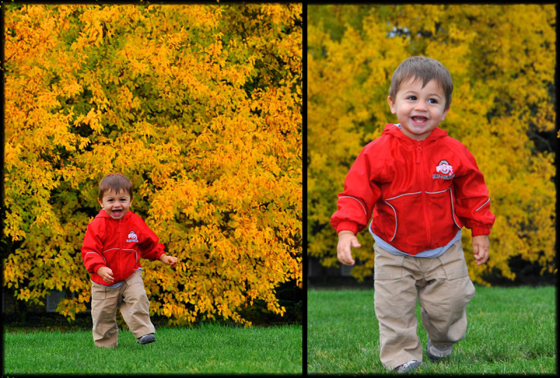 Geo Loves Running in the Grass