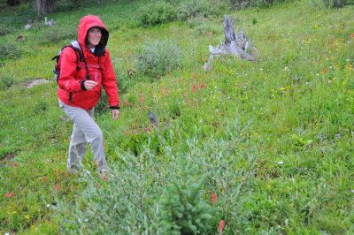 Diane in the wildflowers