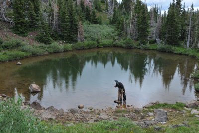 Flyfisherman & Dog on a tiny mountain lake