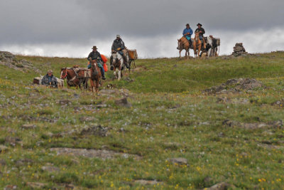 Pack horses on the trail