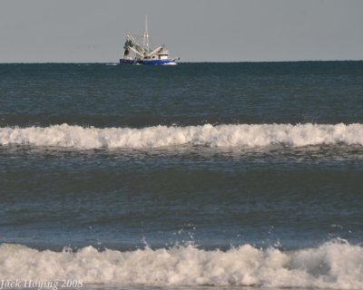 Shrimp boat returning to harbor