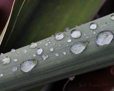 Frozen drops