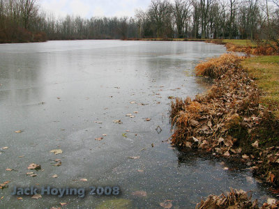 Frozen Lake Loramie ( Minster Branch )