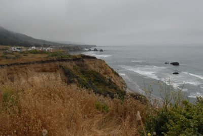 Along Highway 1