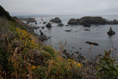 Along Highway 1