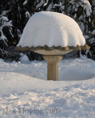 Winter Birdbath