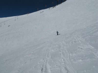 Brenda in Cooper Bowl