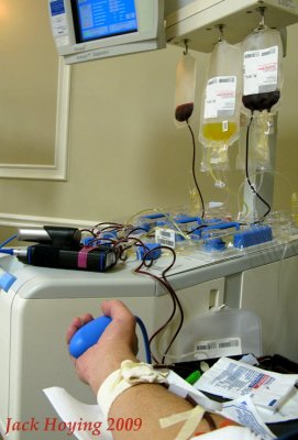 Donating the Gift of Life