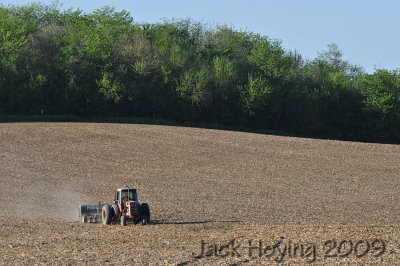 Planting Beans