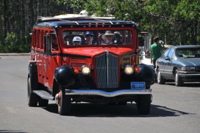 Famous Red Bus of Glacier