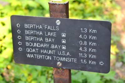Intersection of trail to Bertha Falls / Lake